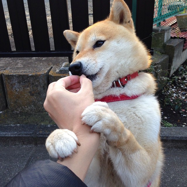 圣光笼罩安菲尔德!萨拉赫王者归来导演逆转,利物浦血拼勒沃库森展露冠军獠牙